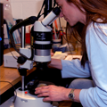 microscope image
